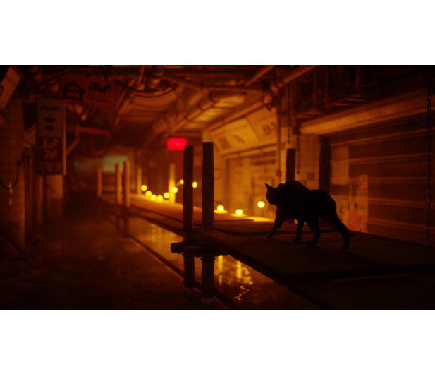 PlayStation Stray - 1056376 - zdjęcie 15